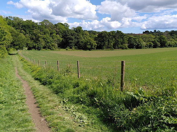 2022-05-24 15.52.01.jpg