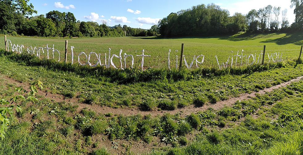 dear earth
